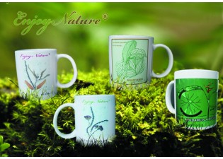 4 Tazas Orquidea
