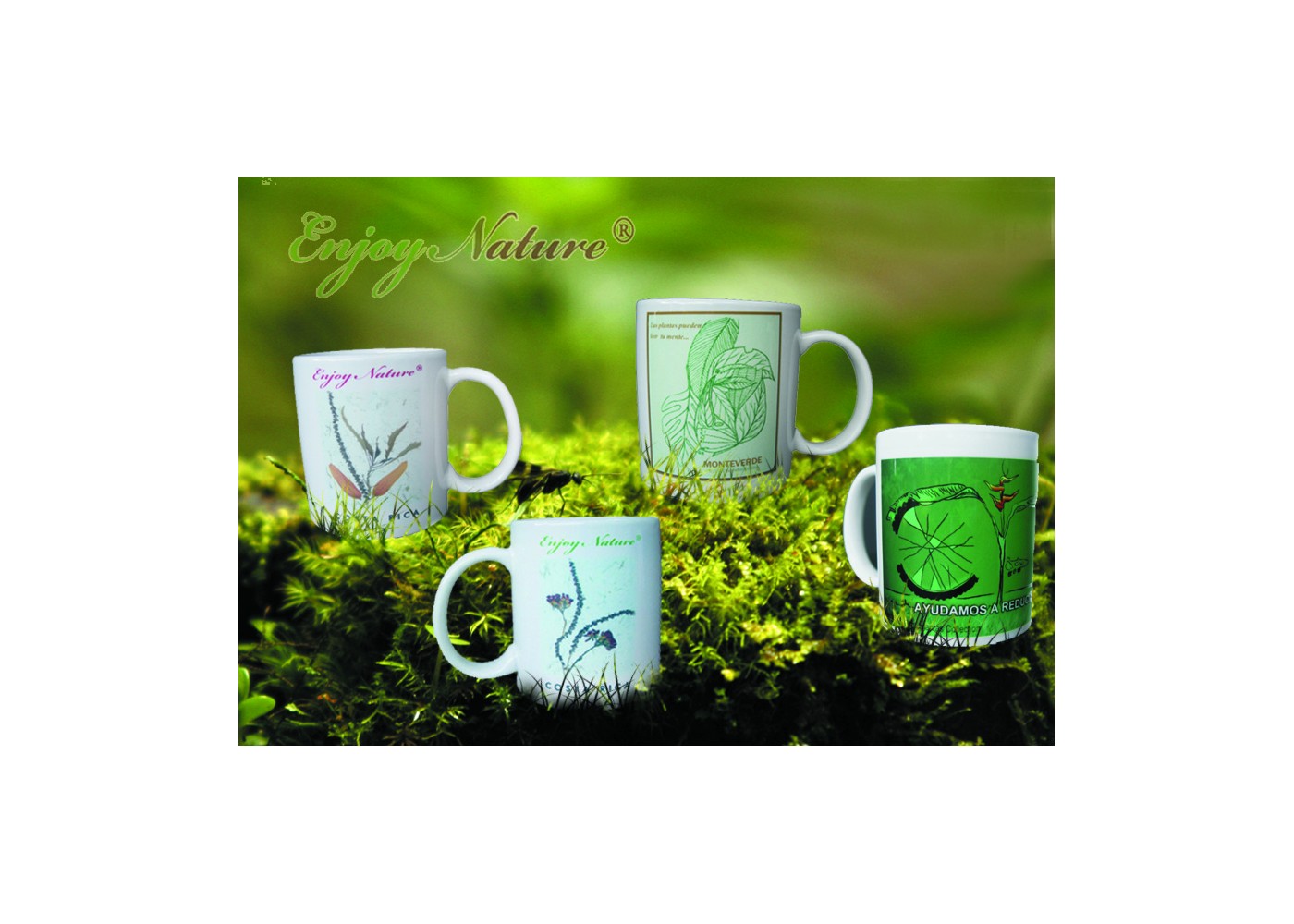 4 Tazas Orquidea