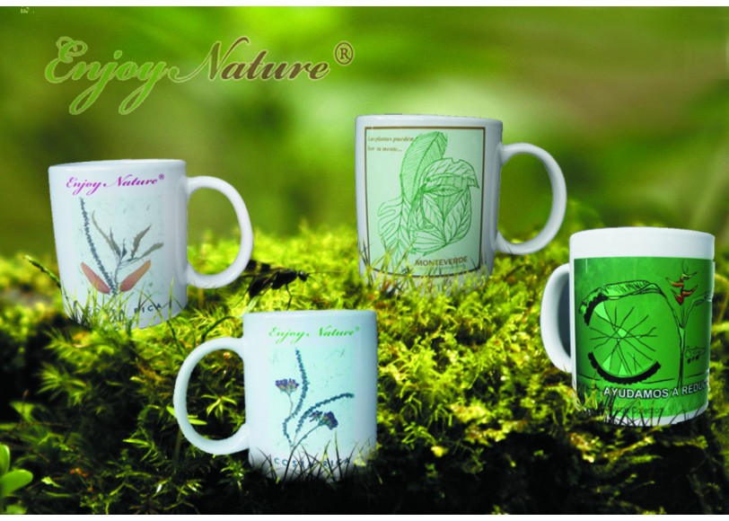 4 Tazas Orquidea